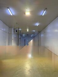 Chin Bee Drive (D22), Warehouse #456567741